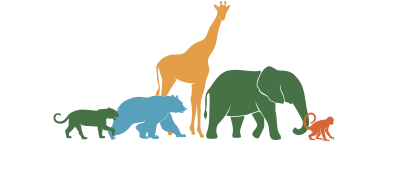 Eco Origins